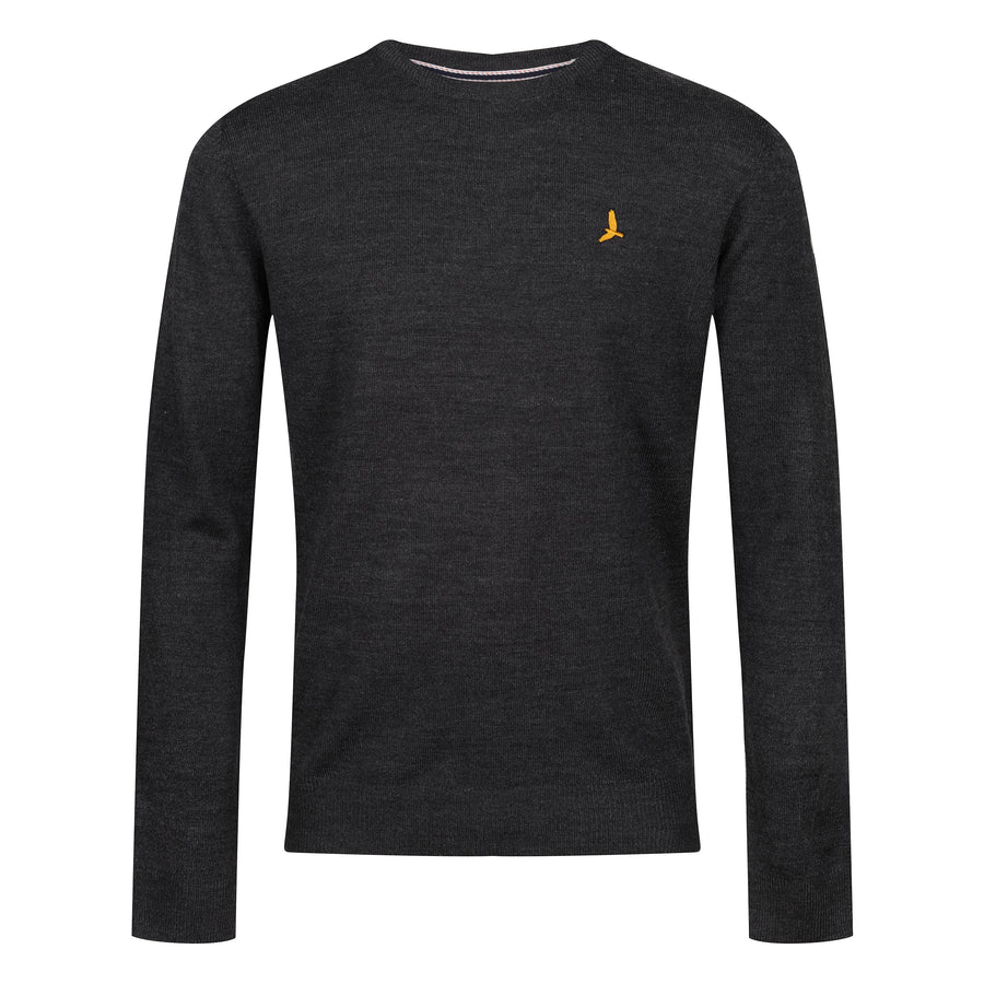 Einstein Crew Neck Jumper