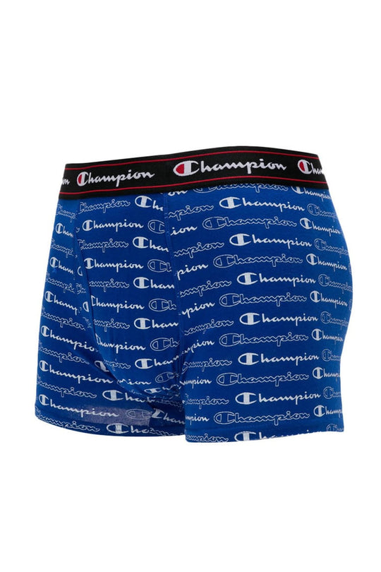 Rochester Boxer