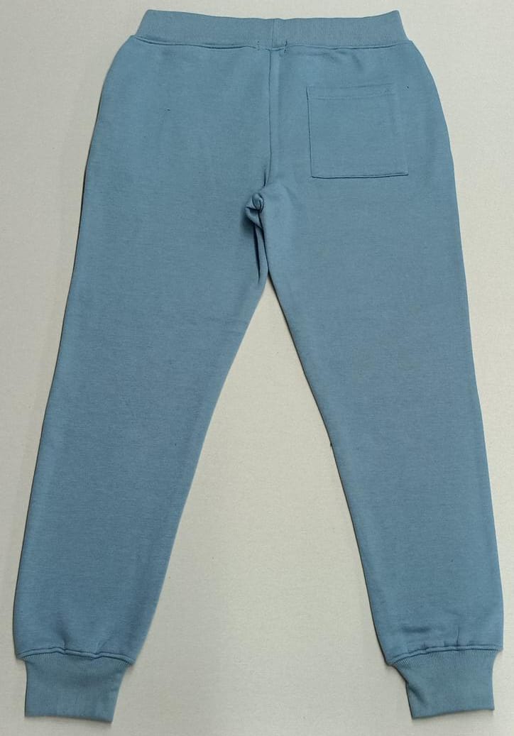 Fashion Fleece Tonal Bur Print Jogger