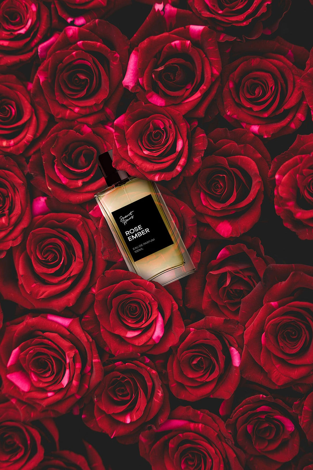 Rose Ember